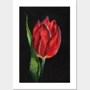 Tulip Posters and Art